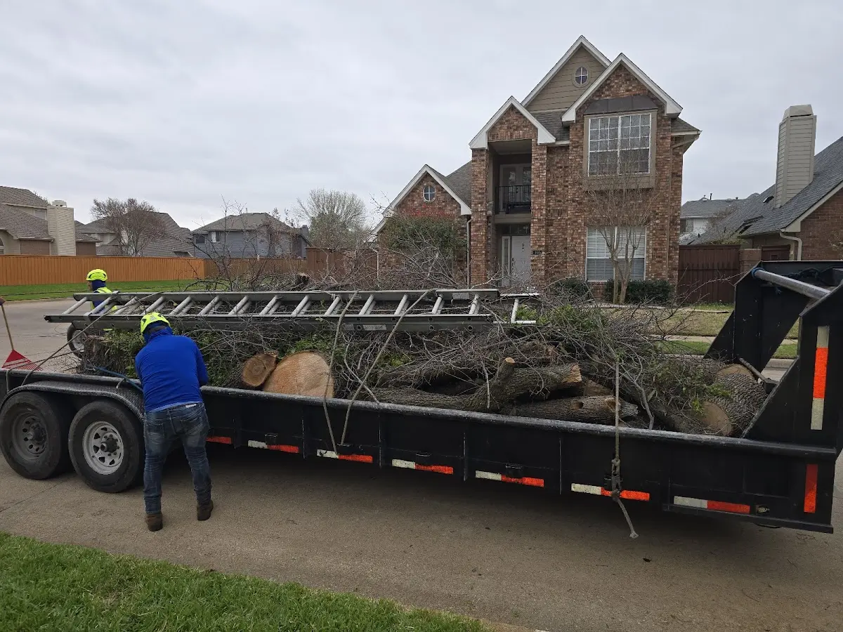 Expert Tree Fertilization with proper safety equipment in Early